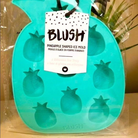 🆕 NEW Blush Pineapple Ice Mold - Picture 1 of 3